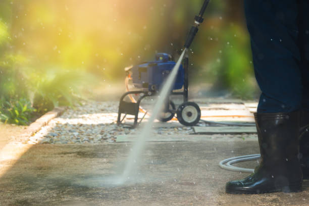Best Sidewalk and Walkway Cleaning  in Shannon, GA